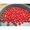 Red Color Plastic Masterbatch Suitable for PP/PE Resin